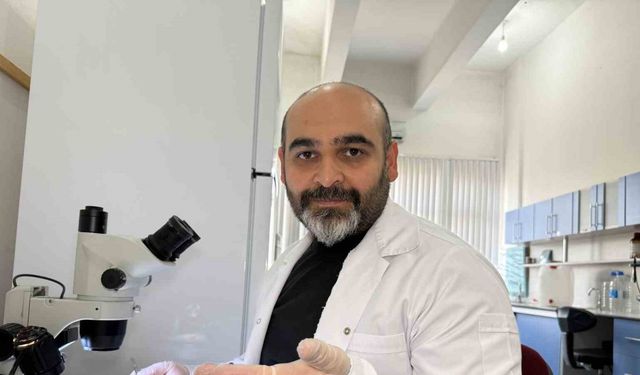 Prof. Dr. Keskin: "Keneyi strese sokacak uygulamalardan kaçınalım"