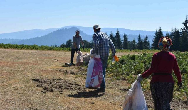 Sakarya’da yangınlar sonrası temizlik: Ormandan çıkanlar şaşırttı