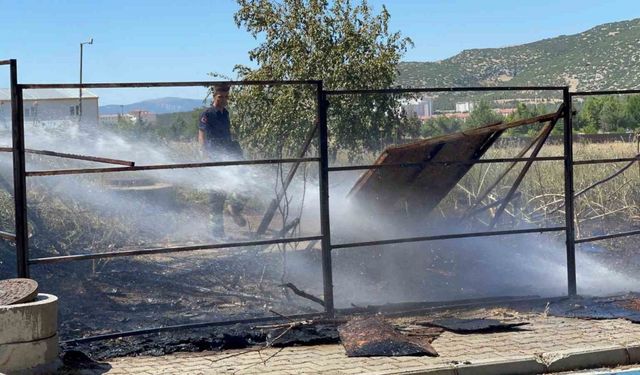 SDÜ Orman Fakültesi yakınlarında yangın korkuttu