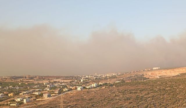 Silifke’de orman yangını