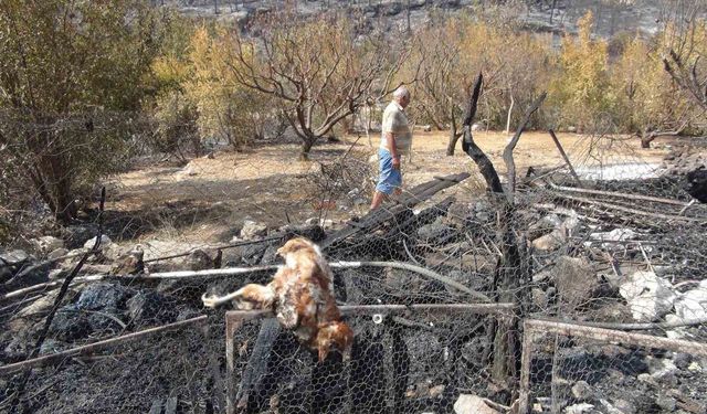 Silifke’deki orman yangını büyük ölçüde kontrol altına alındı