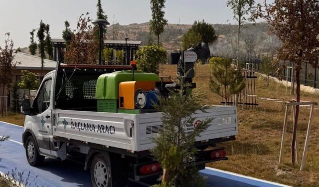 Şırnak Belediyesinden haşerelere karşı ilaçlama