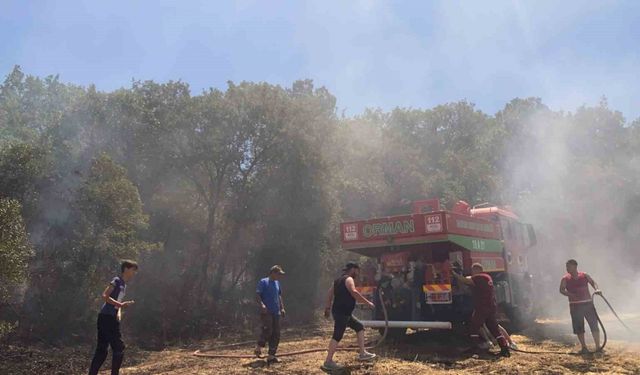 Susurluk’ta arazi yangını kontrol altına alındı