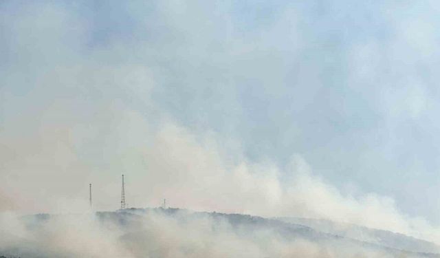 Uşak’ta tarım arazisinde başlayan yangın meşelik alana sıçradı