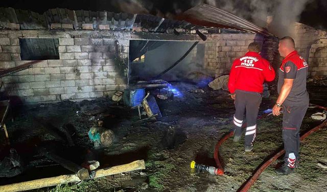 Yalvaç’ta besihane yangını: 14 küçükbaş hayvan ve 50 hindi telef oldu