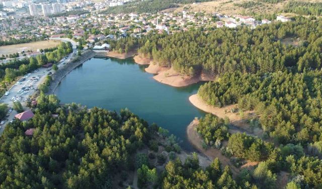 Yozgat Çamlık Milli Parkı’nda ateş yasağı etkili oldu: Vatandaşlar uygulamadan memnun