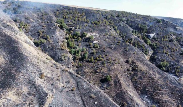 Çorum’daki orman yangını kontrol altına alındı