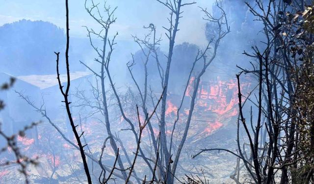 Erdek’te çıkan orman yangını kontrol altına alındı