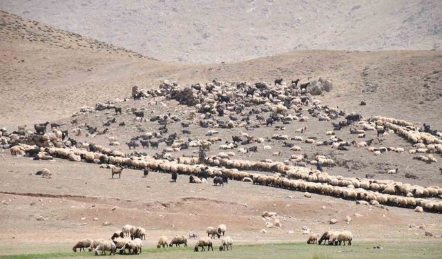 Göçerler yayladan inmeye başladı