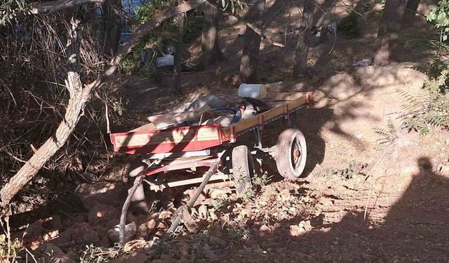 Karaman’da at arabası şarampole yuvarlandı: 4 yaralı