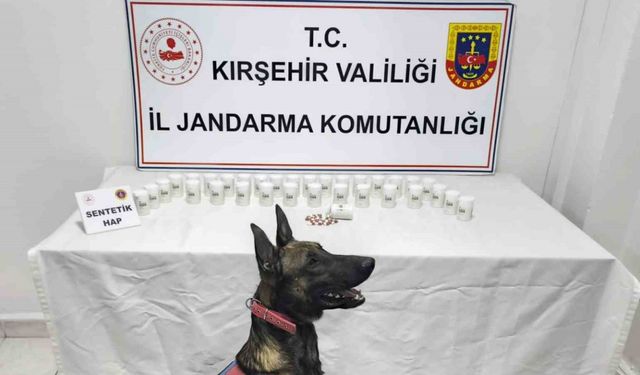 Kırşehir’de bin 823 sentetik hap ele geçirildi: 2 gözaltı