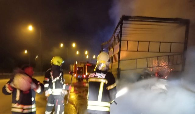 Kuruyemiş yüklü tır alev alev yandı