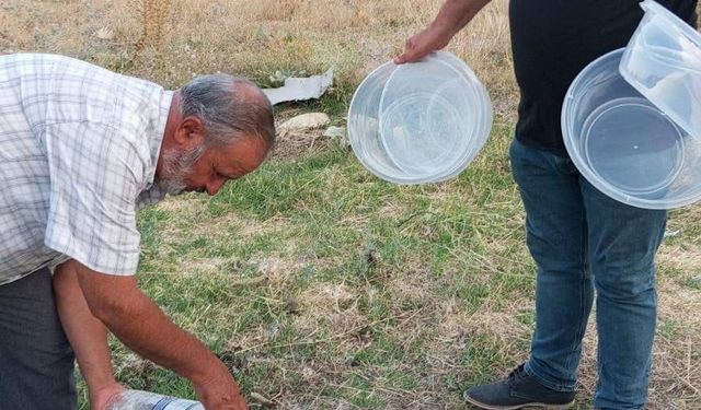 Mahalle muhtarından sokak hayvanlarına yönelik örnek çalışma