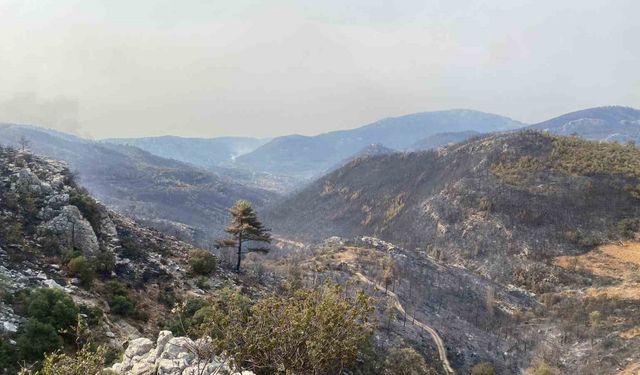 Mersin Silifke’de yangın büyük ölçüde kontrol altına alındı
