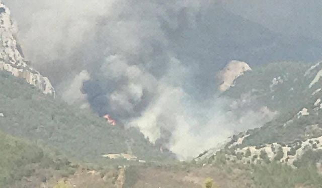 Mersin’de ikinci orman yangını
