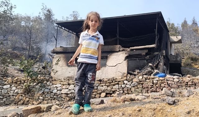 Mersin’de orman yangınında evler yandı, hayvanlar telef oldu