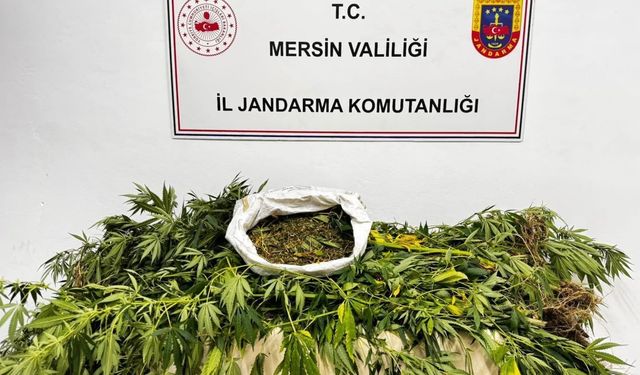 Mersin’de uyuşturucu operasyonu