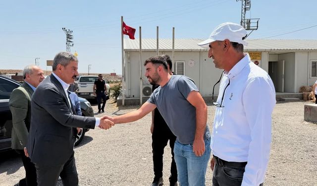 Milletvekili Tatar, Cizre-Silopi yol şantiyesinde incelemede bulundu