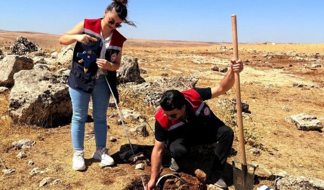 Şırnak’ta tarımsal üretime yön verecek etüt çalışmaları başladı