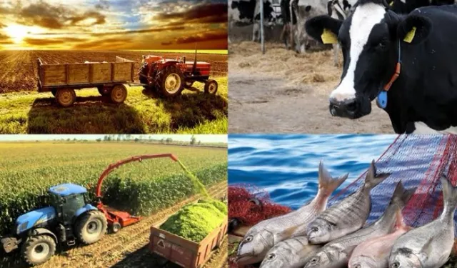 Hayvancılık destekleme miktarlarında artış! Çoban desteği ve aşı bedellleri de kapsamda