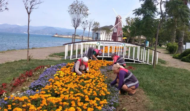 Ordu’da kent estetiğine Büyükşehir dokunuşu