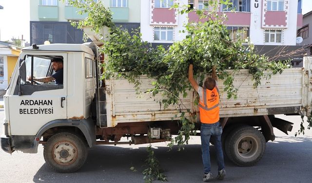 Ardahan Belediyesi’nden ağaç budama faaliyeti