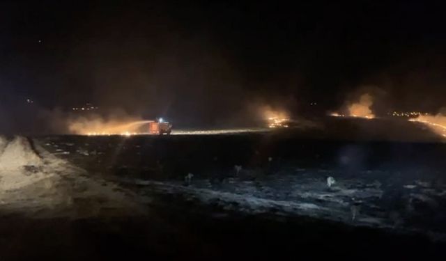 Çorum’da alevlere teslim olan 300 dönüm mera küle döndü