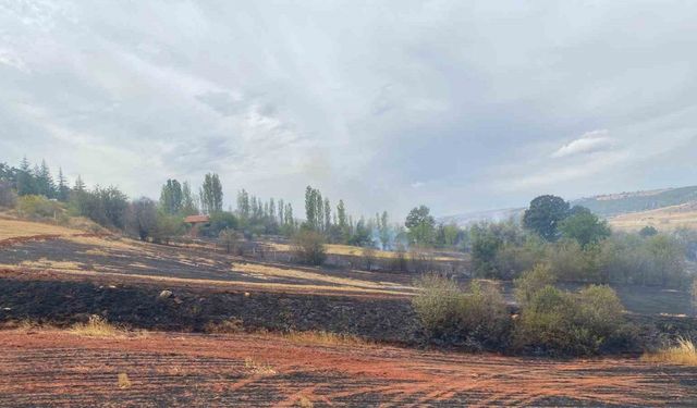 Çorum’da arazi yangını: 250 dönüm tarla ve 15 dönüm ağaçlık alan zarar gördü