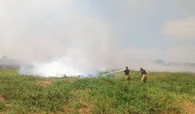 Manyas ve Bandırma arasında sazlık alanda yangın çıktı