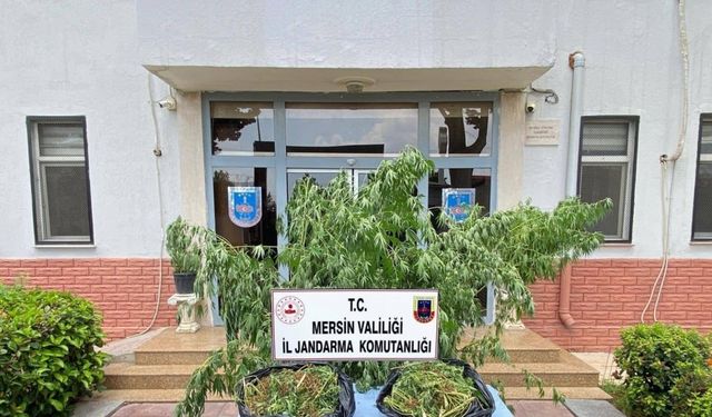 Mersin’de zehir tacirlerine darbe