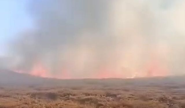 Siverek Karacadağ’da yangın