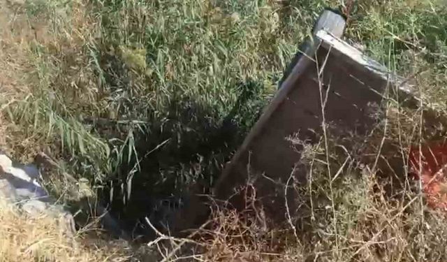 Tahliye kanalına düşen at kurtarıldı