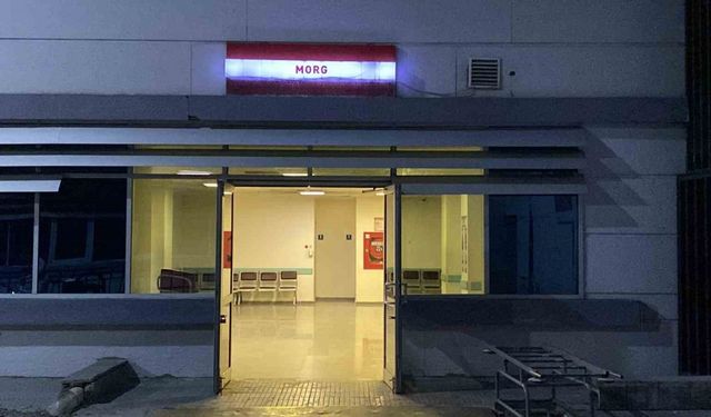 Tır şoförü park halindeki aracında ölü bulundu