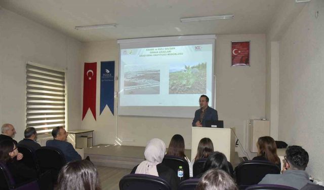 Dünyada 4,059 milyar hektar ormanlık alan