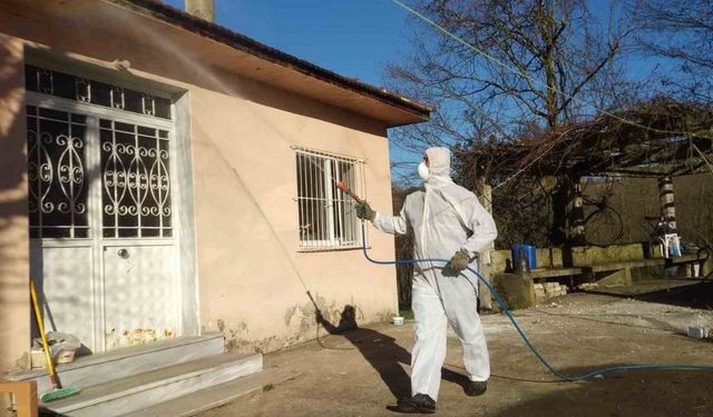 Düzce’de kahverengi kokarca ile kışlak mücadelesi devam ediyor