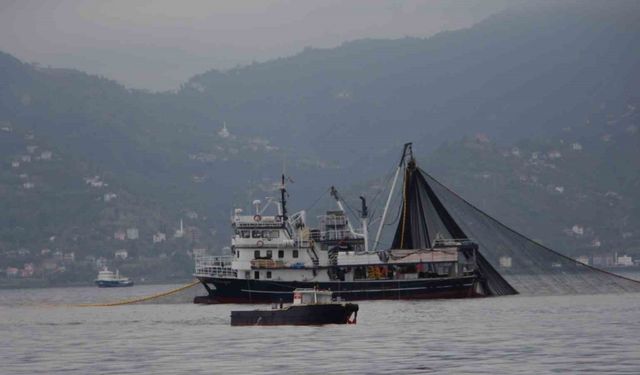 Hamside tehlike çanları çalıyor