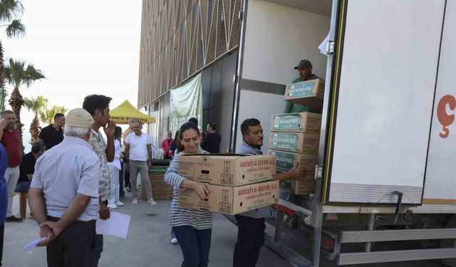 Mersin’de üreticiye fide ve güneş paneli desteği