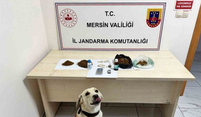 Mersin’de uyuşturucu operasyonu: 5 şüpheli tutuklandı