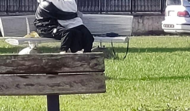 Parkta uygunsuz hareketler tepki çekti: Uyarılara rağmen devam ettiler