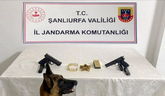 Şanlıurfa’da silah kaçakçılığı operasyonu: 8 gözaltı