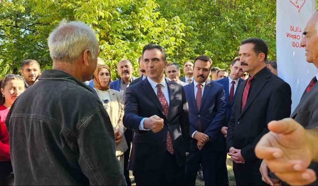 Vali Ahmet Karakaya ceviz hasadına katıldı