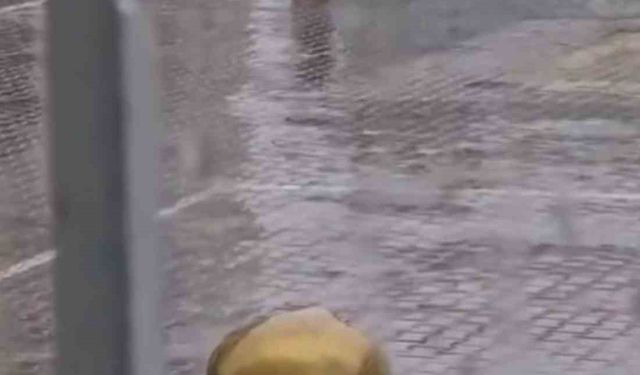 Yağmur altında İstiklal Marşı’na eşlik eden öğrenci duygulandırdı