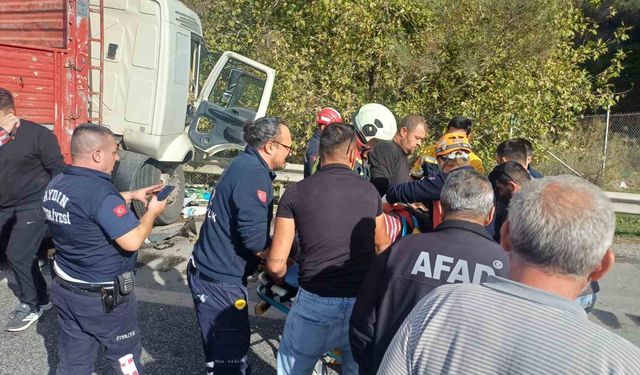 Aydın'da trafik kazası: 1 yaralı