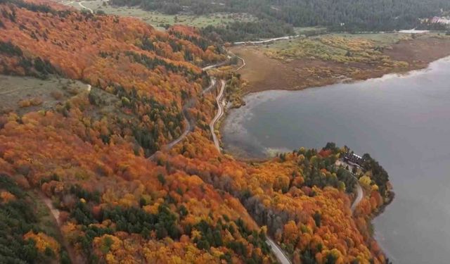 Bolu’nun doğa harikası Abant’ta ziyaretçiler akın etti