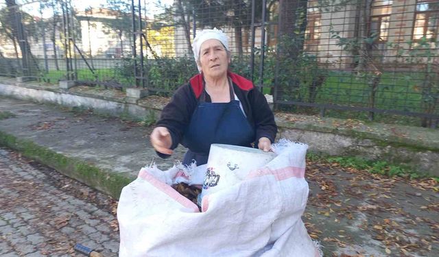 Edirne'de yaşlı kadın, 34 yıldır sonbaharda düşen yaprakları gübreye dönüştürüyor