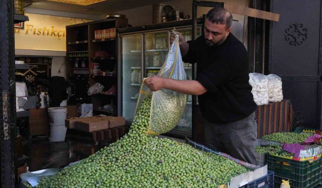 Gaziantep'te yeşil zeytin fiyatları sabit kaldı