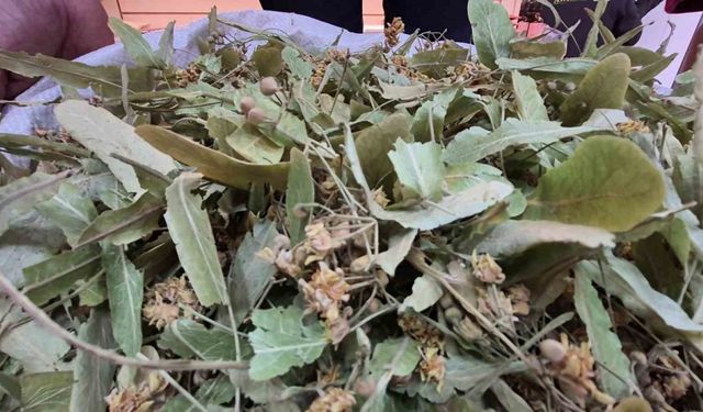 Geçen sene altınla yarışıyordu, bu yıl fiyatı düştü