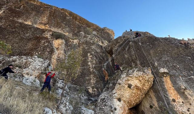 Kayalıklarda mahsur kalan 25 keçi kurtarıldı