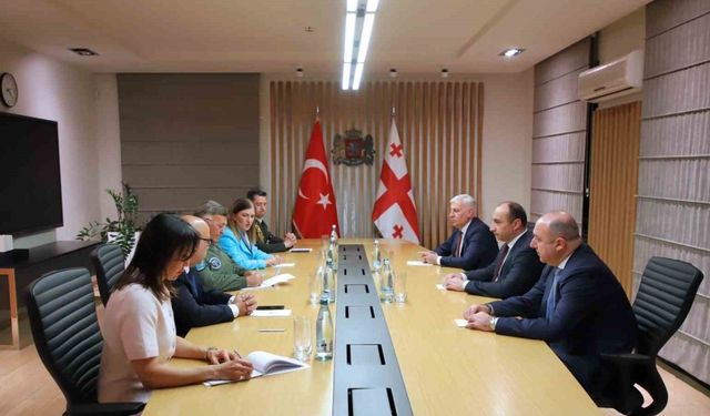 Korgeneral Kadıoğlu, Gürcistan İçişleri Bakanı Geladze ile görüştü