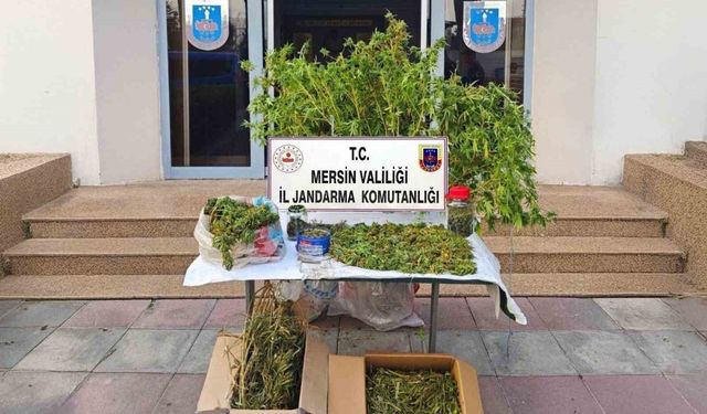 Mersin'de kenevir ekip uyuşturucu üreten şüpheli tutuklandı